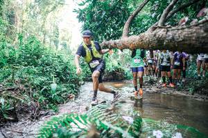 BIB: 
                            <button type="button" onclick="openModal(25468607)" class="btn btn-primary btn-sm float-right btn-popup" data-toggle="modal" data-target=".modal-high-quality">
                        <i class="fas fa-shopping-cart"></i> Add to Cart
                    </button>
                                            <button type="button" onclick="isThisMe(25468607, true)" class="btn btn-success btn-sm float-right btn-popup btn-isme hidden" data-toggle="tooltip" data-placement="bottom" title="นี่คือรูปของคุณใช่ไหม คลิกที่นี่เพื่อเอาเข้าอัลบั้ม">
                        <i class="fas fa-plus"></i> Add to album
                    </button>
                    <button type="button" onclick="isThisMe(25468607, false)" class="btn btn-warning btn-sm float-right btn-popup btn-isnotme hidden">
                        <i class="fas fa-ban"></i> Remove from album
                    </button>